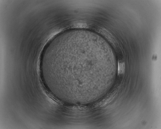 X0000098120627200804181521