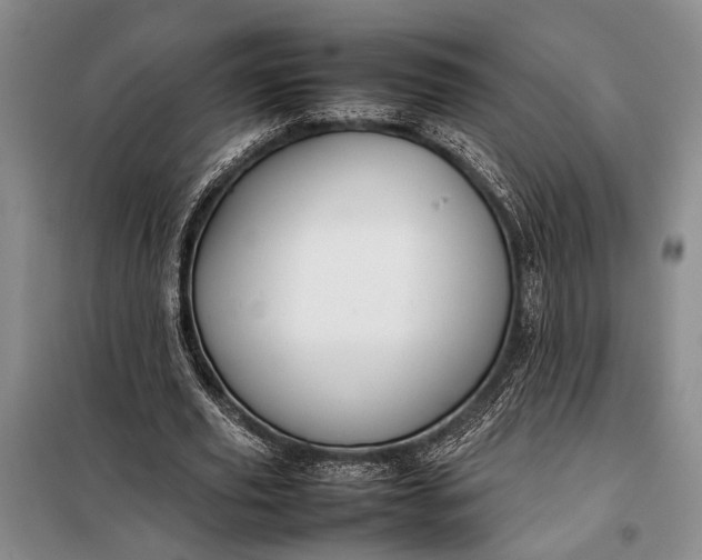 X0000098120629200804181521