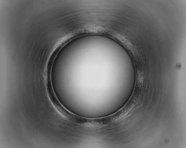 X0000098120630200804181521