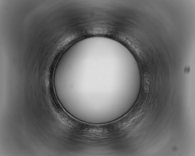 X0000098120631200804181521