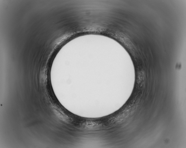 X0000098120632200804181521