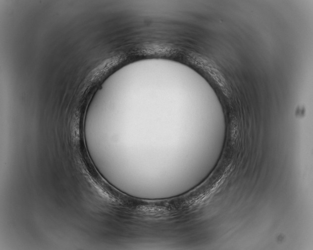 X0000098120633200804181521