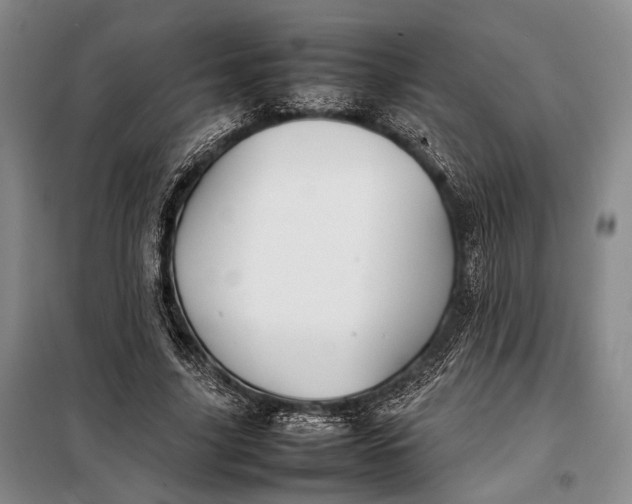 X0000098120635200804181521