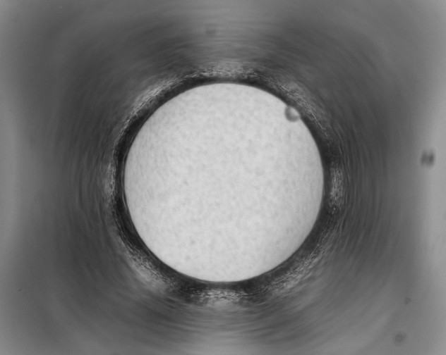 X0000098120636200804181521