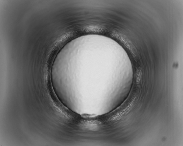 X0000098120637200804181521
