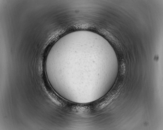 X0000098120638200804181521