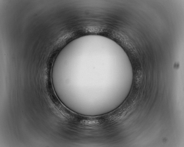 X0000098120639200804181521