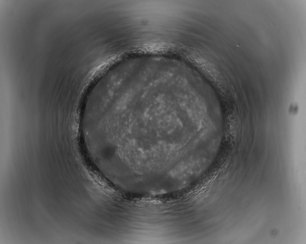 X0000098120640200804181521