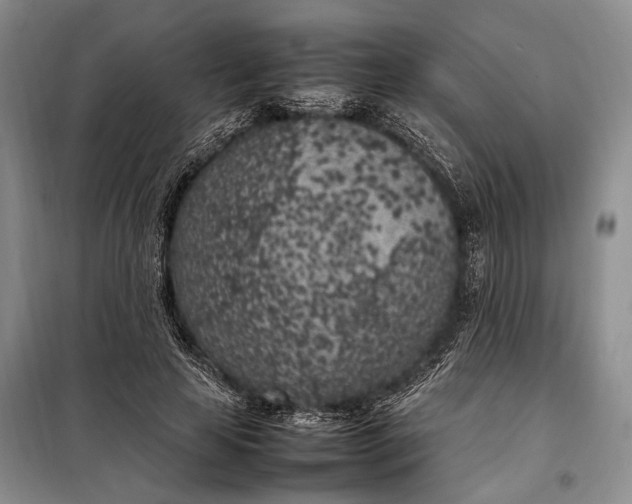 X0000098120641200804181521