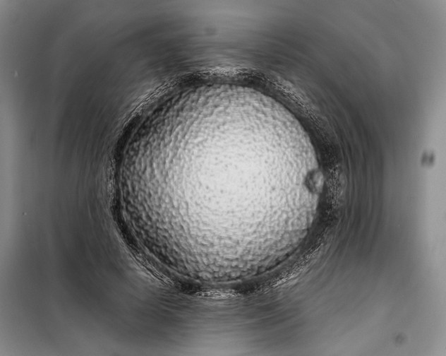 X0000098120642200804181521