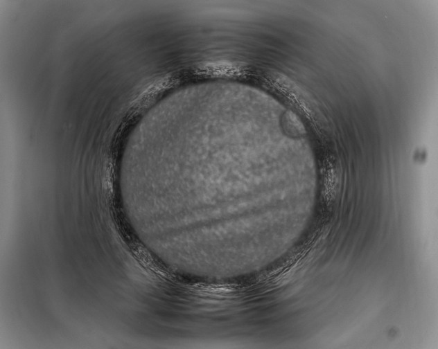 X0000098120643200804181521