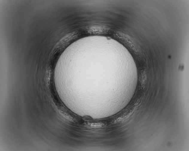 X0000098120645200804181522