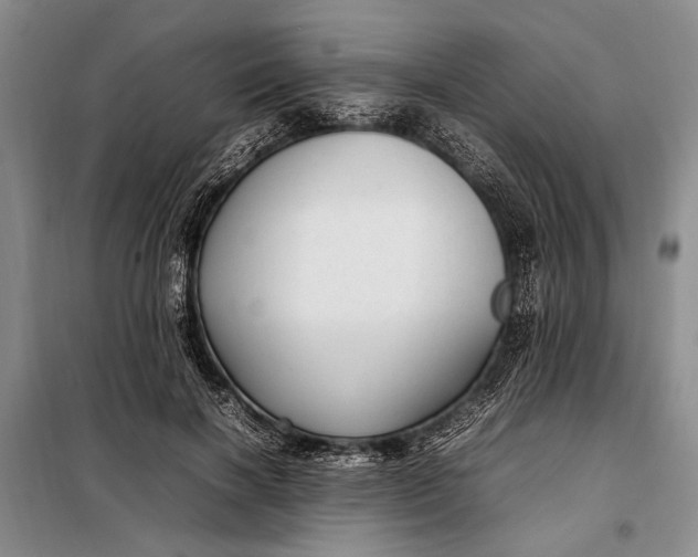 X0000098120646200804181522