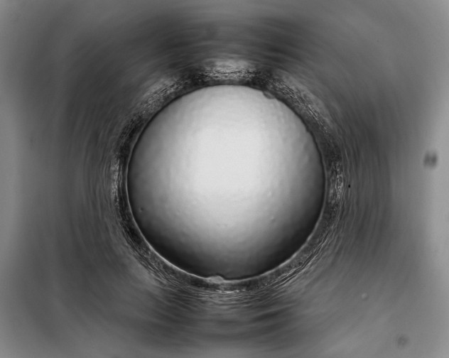 X0000098120647200804181522