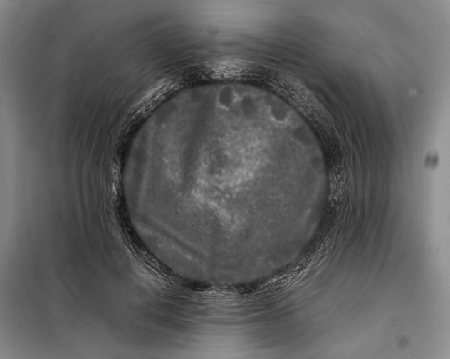 X0000098120648200804181522