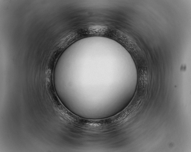 X0000098120649200804181522