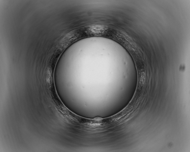 X0000098120651200804181522