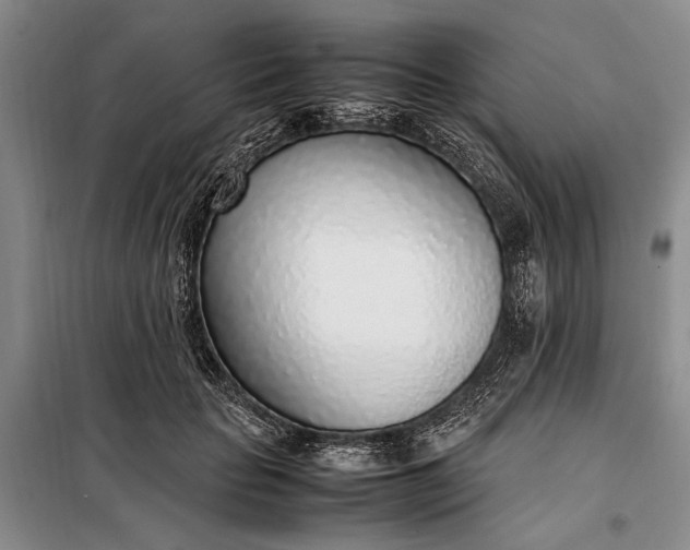 X0000098120653200804181522