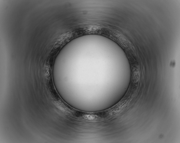 X0000098120654200804181522