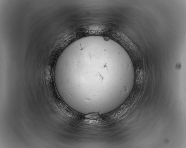 X0000098120655200804181522