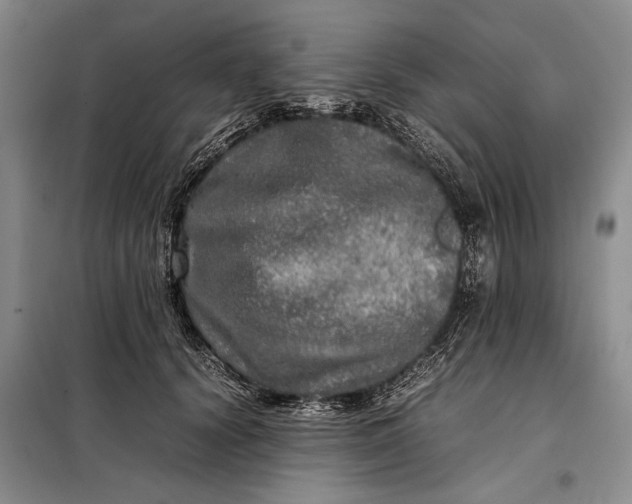 X0000098120656200804181522