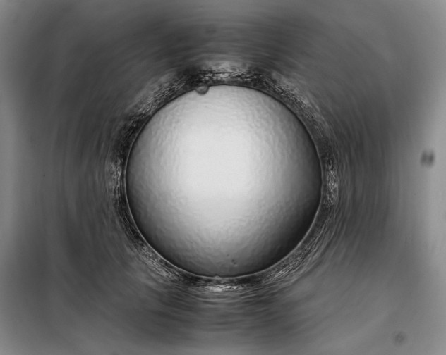 X0000098120657200804181522