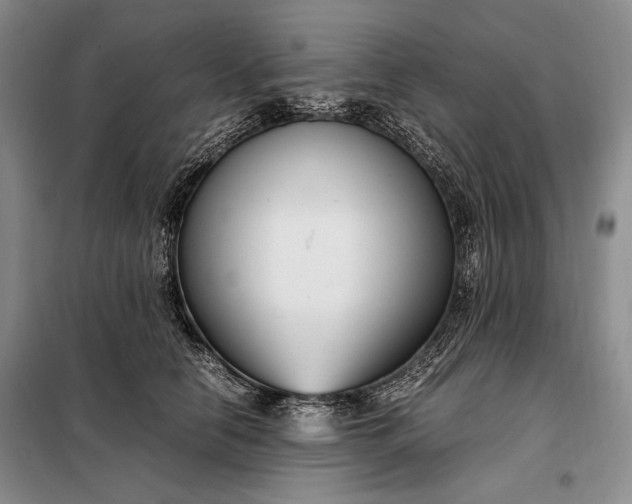 X0000098120658200804181522