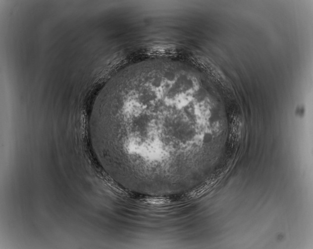 X0000098120659200804181522