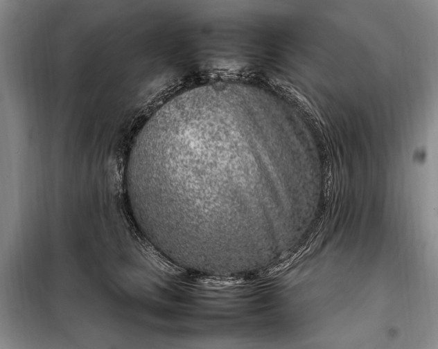 X0000098120661200804181522