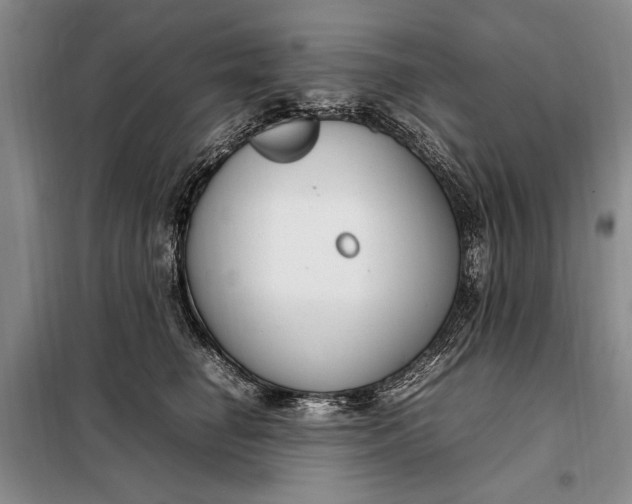 X0000098120662200804181522