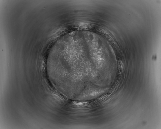 X0000098120663200804181522