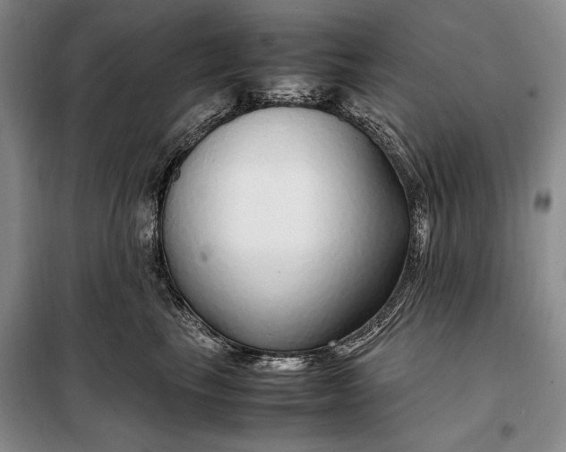 X0000098120665200804181522