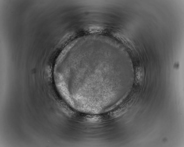 X0000098120667200804181522