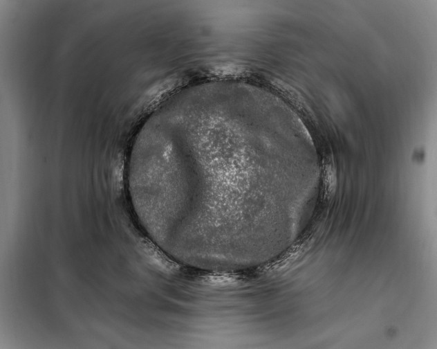 X0000098120668200804181522