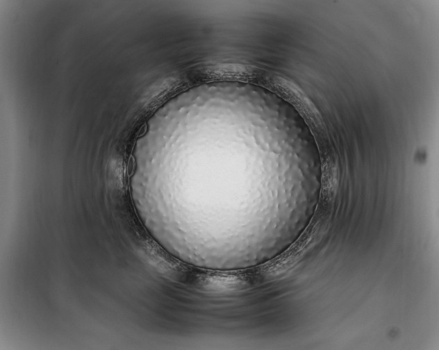 X0000098120669200804181522