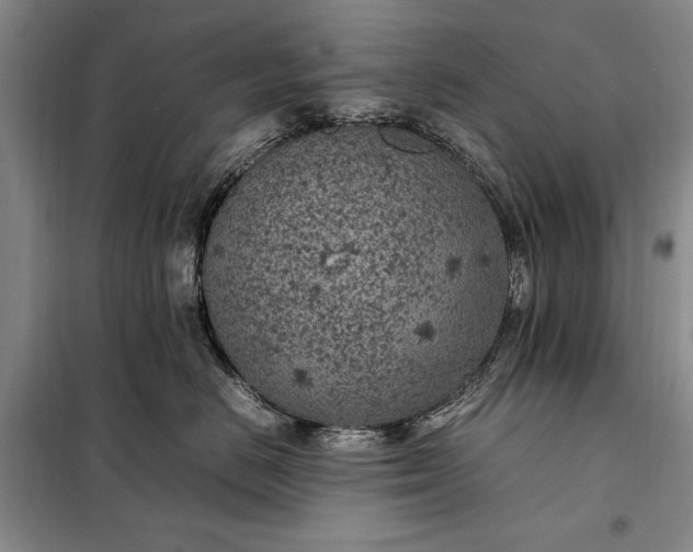 X0000098120670200804181522
