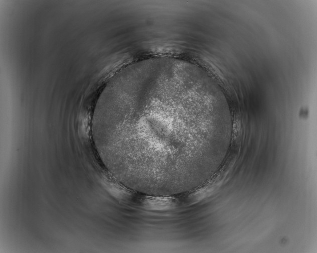 X0000098120671200804181522