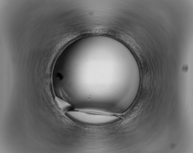 X0000098120673200804181521
