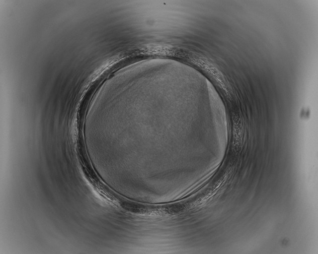 X0000098120674200804181521