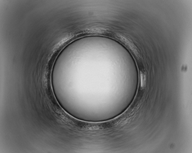 X0000098120675200804181521