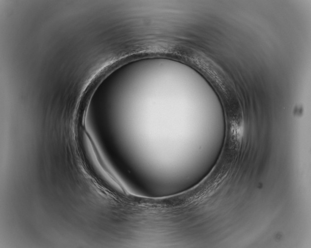 X0000098120676200804181521