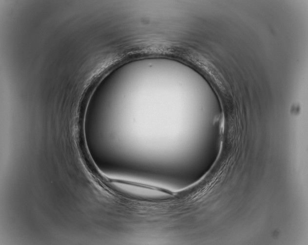 X0000098120677200804181521