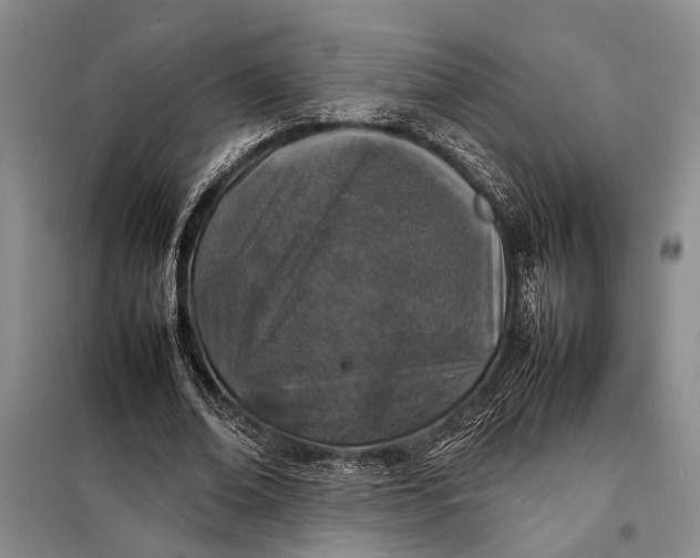 X0000098120678200804181521