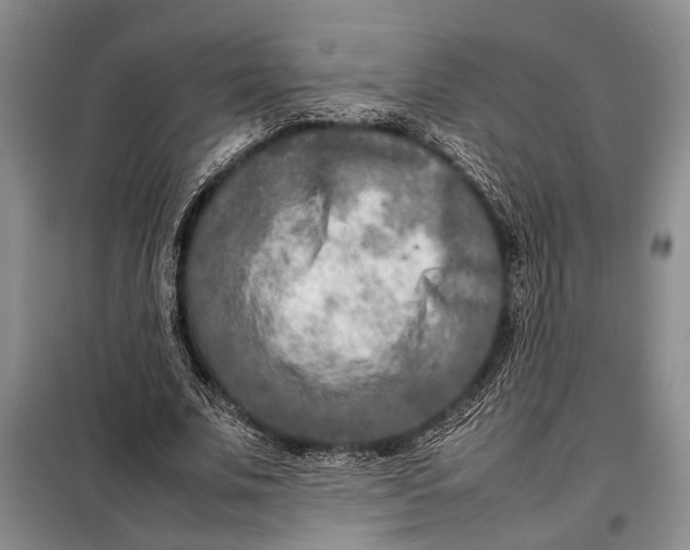X0000098120679200804181521