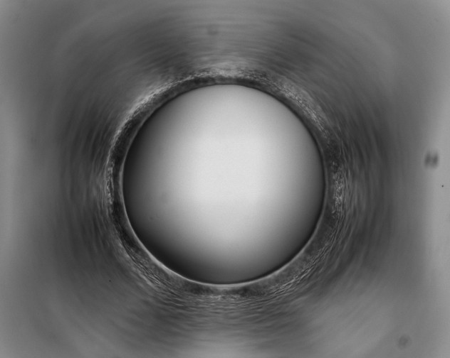 X0000098120680200804181521