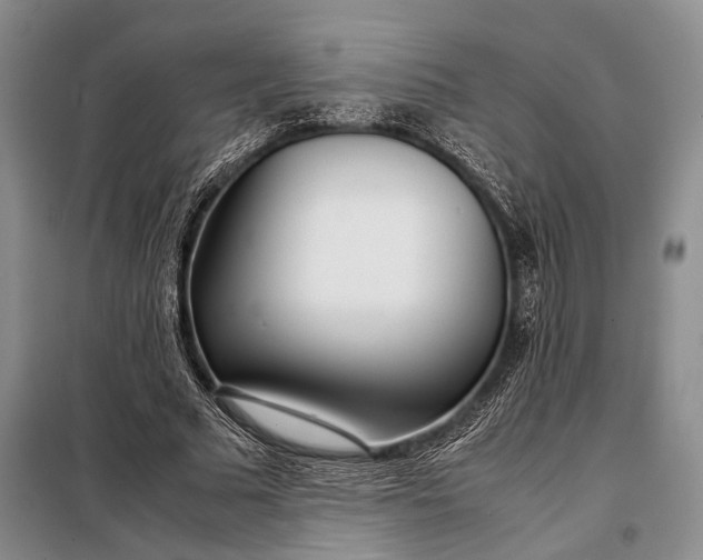 X0000098120681200804181521