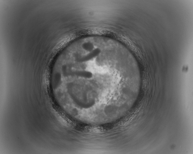 X0000098120683200804181521