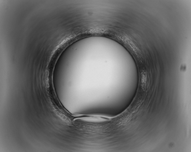 X0000098120684200804181521