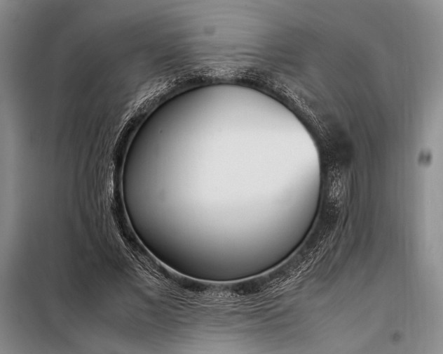 X0000098120685200804181521