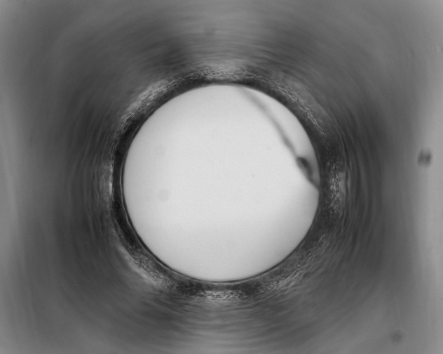 X0000098120686200804181521